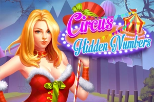 Circus Hidden Numbers