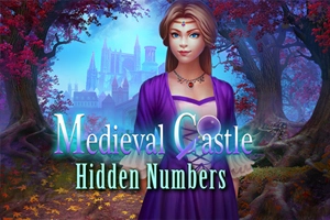 Medieval Castle Hidden Numbers