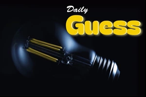 Daily Guess